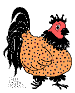 Ratty speckled henpecker